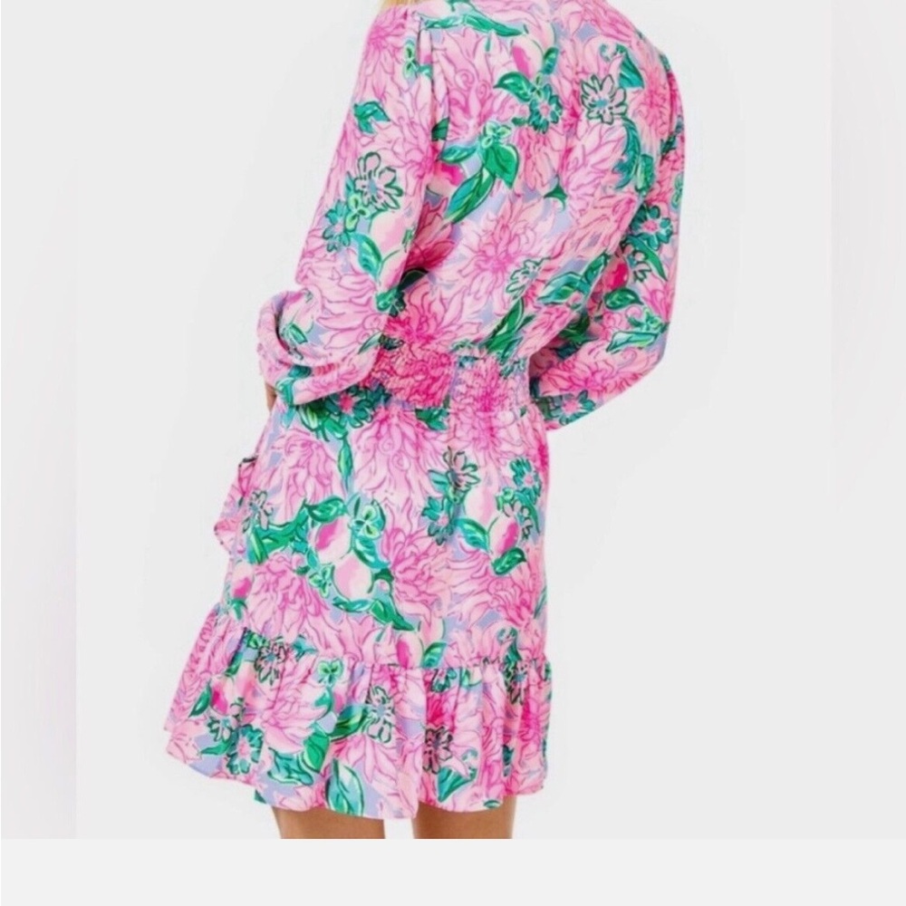 LIKE NEW! Lilly Pulitzer Cristiana Dress! - Picture 14 of 14